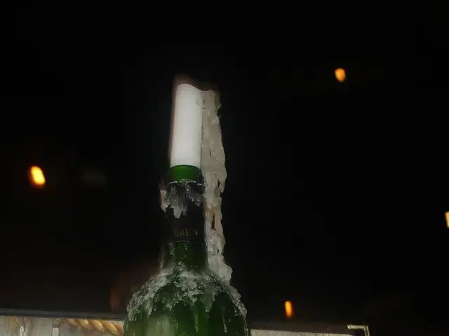 Roobet pockets a massive $479K payout from PyroFox's fiery win at Xposed event