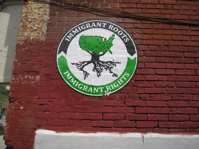 The Domino Impact: How Power Lottery Shapes Taiwan's Regional Economic Landscape